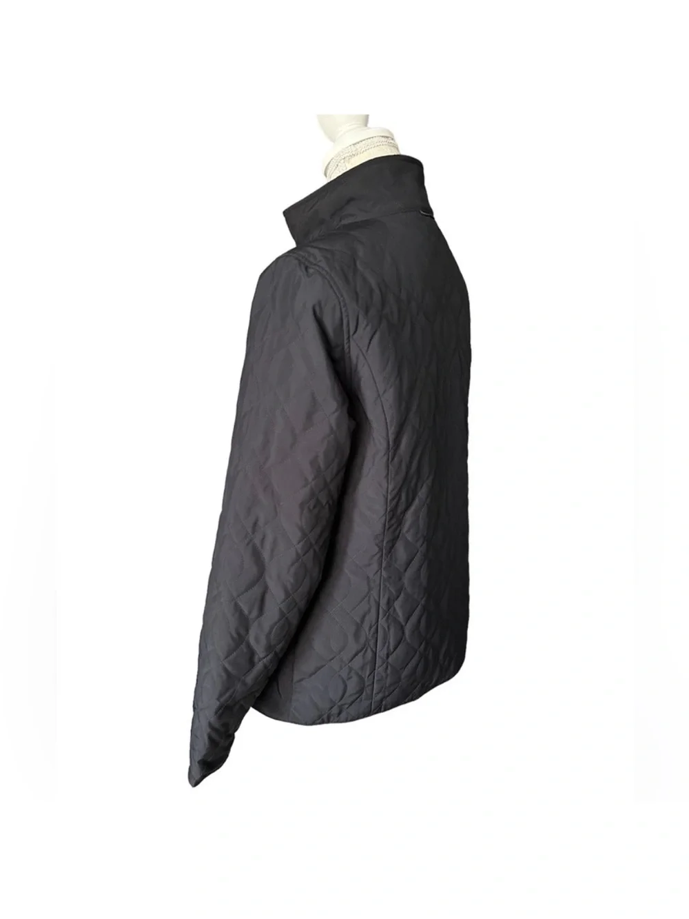 L.L. Bean euc bean